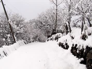 Kış