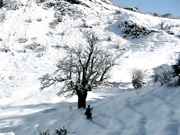 Kışı Yaşamak