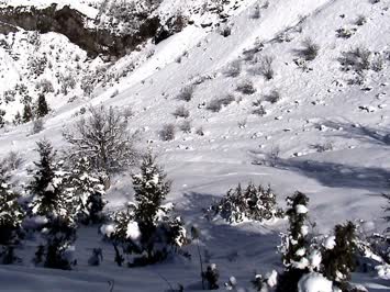 Kış