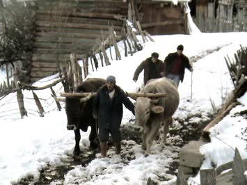 Çoraklıda Kış