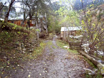 Rahim Arasin Evi