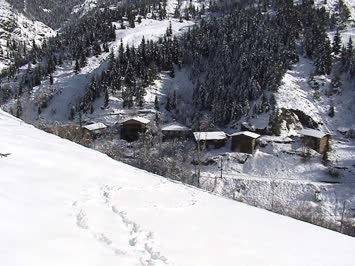 sükütlarin evler