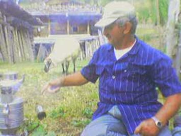 Haktan Yaşar
