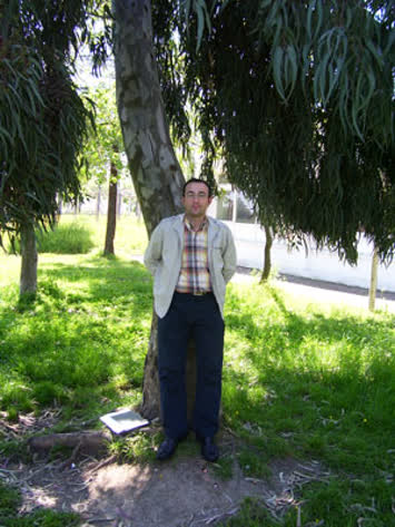 Ağaçdibi