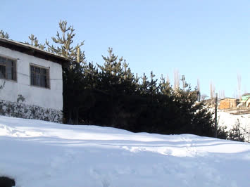 okulun ormani