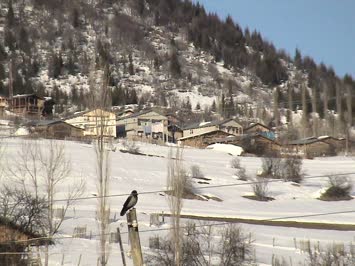 Kadaget