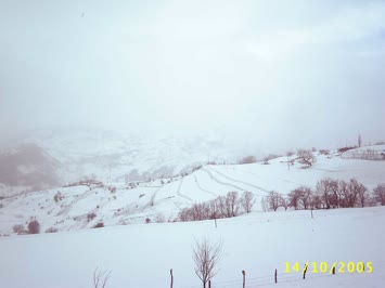 coraklida kis