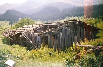 Şavket