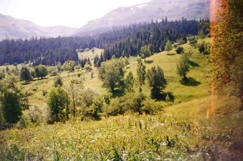 Şavket