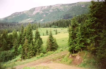 Şavket