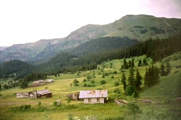 Şavket