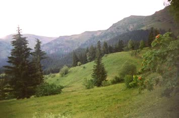 Şavket