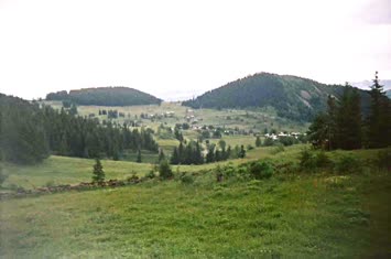 Şavket