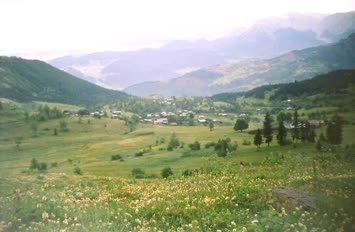 Şavket