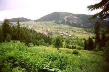 Şavket