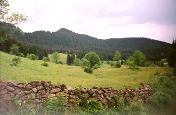 Şavket