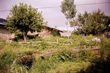 Şavket