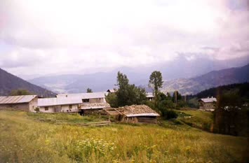 Şavket