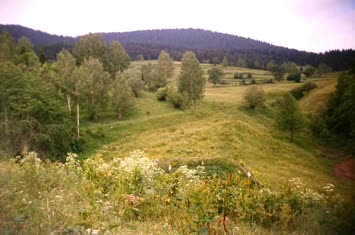 Şavket