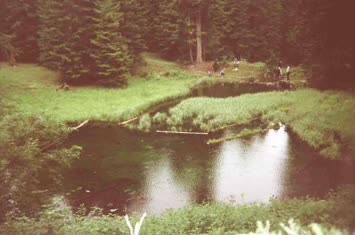 Şavket