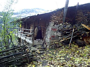 Fahriye Aras