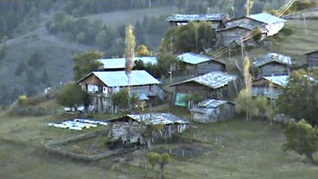cafargil