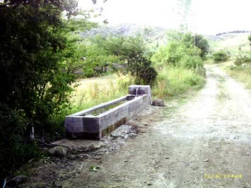 geletin suyu