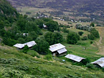 Zirzirat