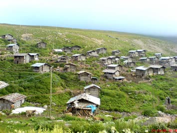 Yayla