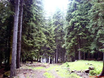 Quçen
