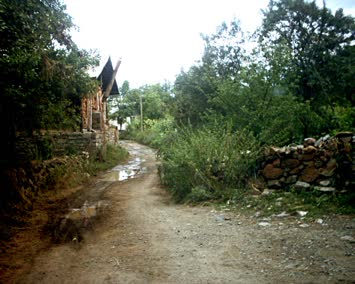 Ahmet Kızılaltun