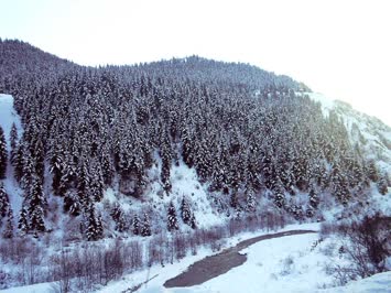 Ciritdüzü Yolundan Efkar