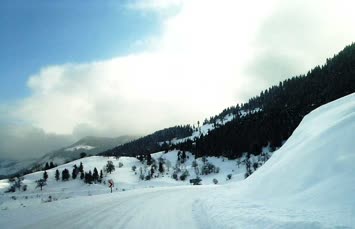 Ardahan yolu-quçen