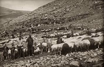 Sağdan Yalçın Yıldız, Sevgi Aydın, Hülya Aydın, Mithat Aydın, Ağabey Yıldız, Ekrem Aydın, diğer iki kişinin isimlerini hatırlamıyorum / Cindağı / 1973