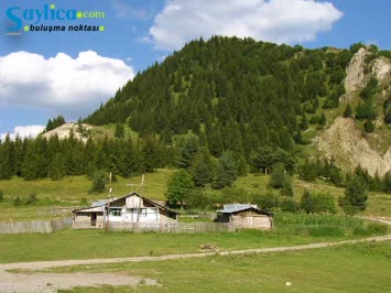 Karavat