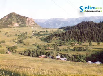 Karavat