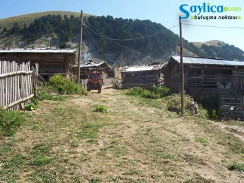 Karavat