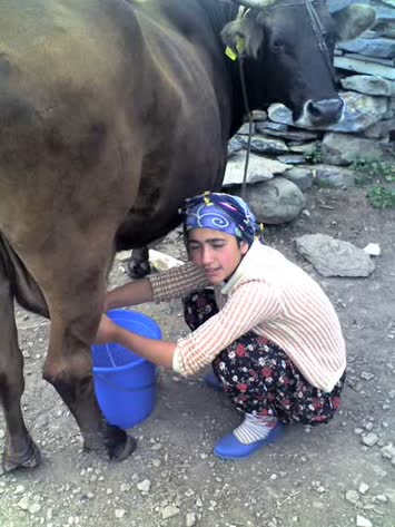 Şaşorti Sibel