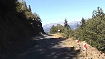 laşet 2006