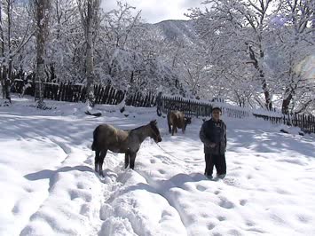 Zeynel Altun
