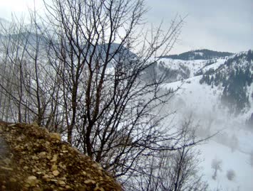 16 Mart Sabahi Suloban