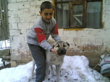 kardesim ve köpegimiz zalim