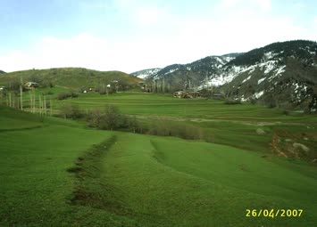 Cimnalar