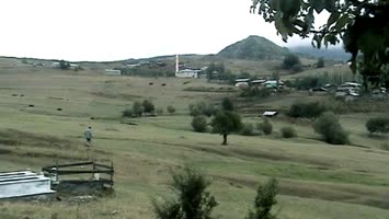 Yoncalı