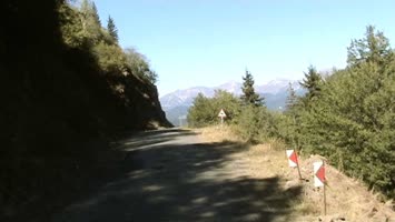 laşet 2006
