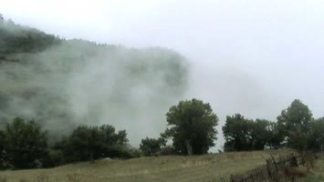 Evden Bandirala Bakis