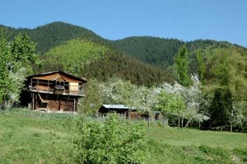 Pirpizelerde bahar