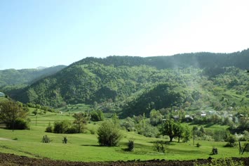 Bahar Yem Yeşil