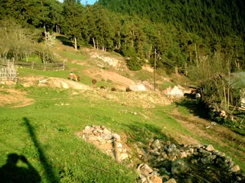 Köy