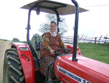Gülfer Altun